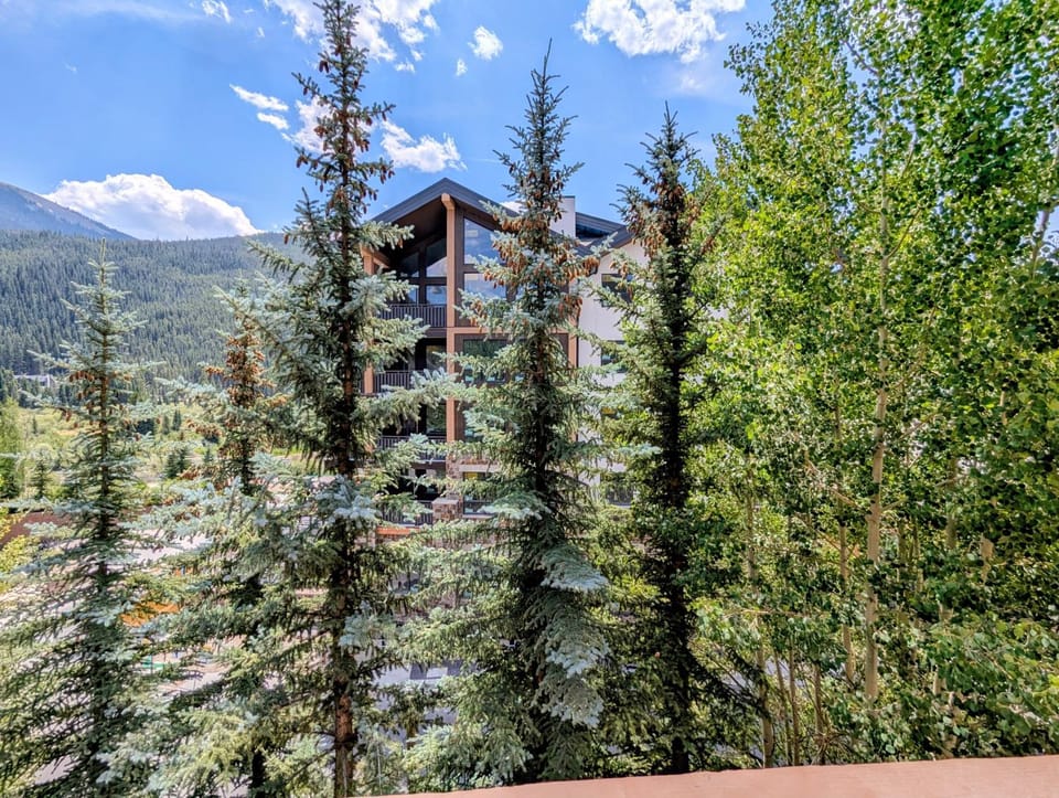 Springs 8822 by SummitCove Lodging in Colorado House in Keystone