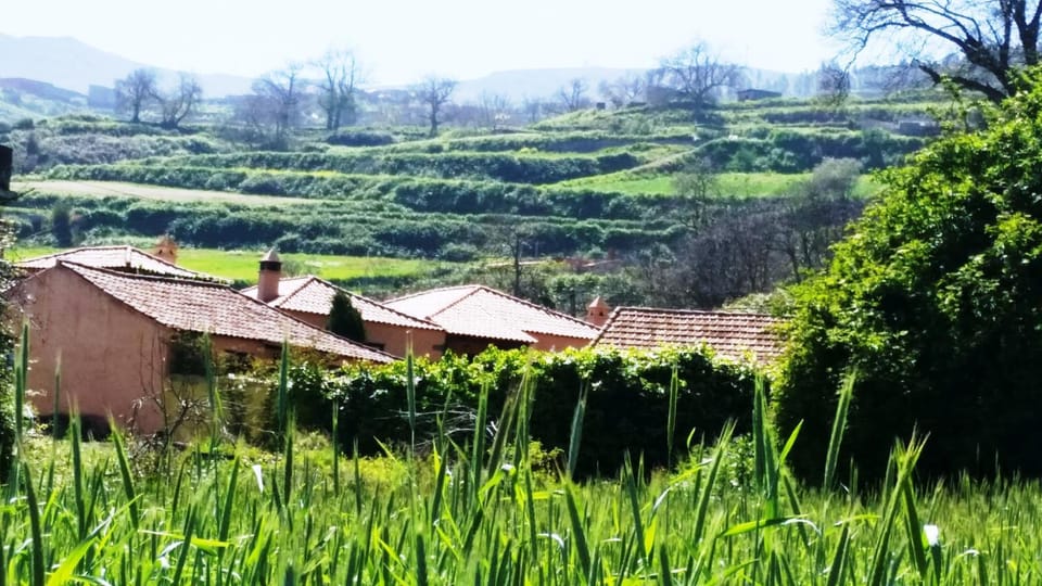 Natural landscape