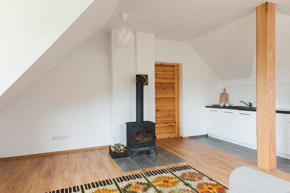 Apartament Lutowiska Apartment in Lviv Oblast