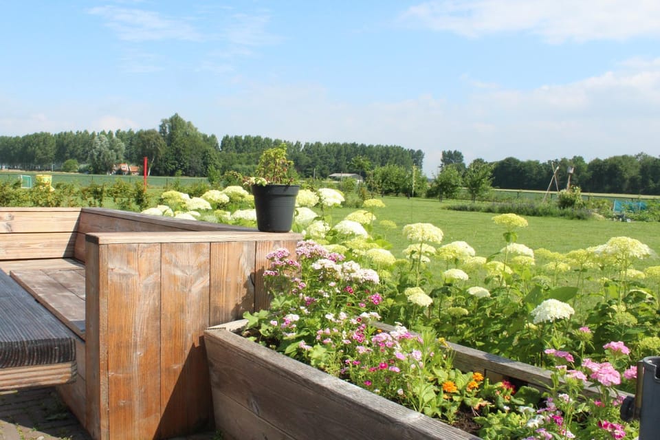 Day, Garden, Garden view