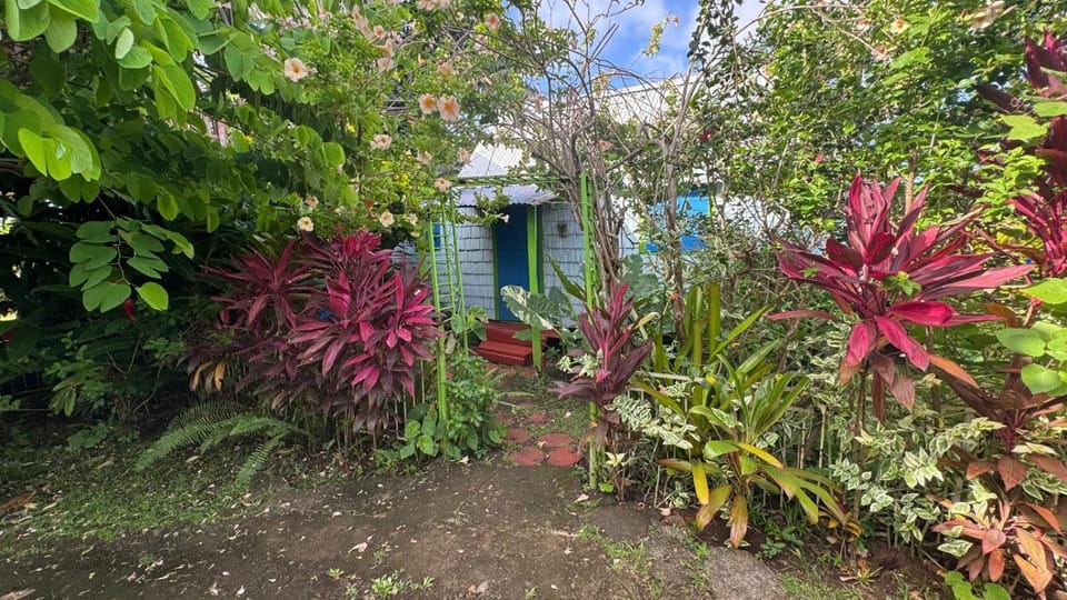 Jacoway Inn Apartment in Dominica