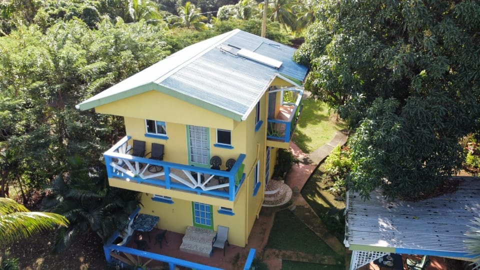 Property building, Day, Garden