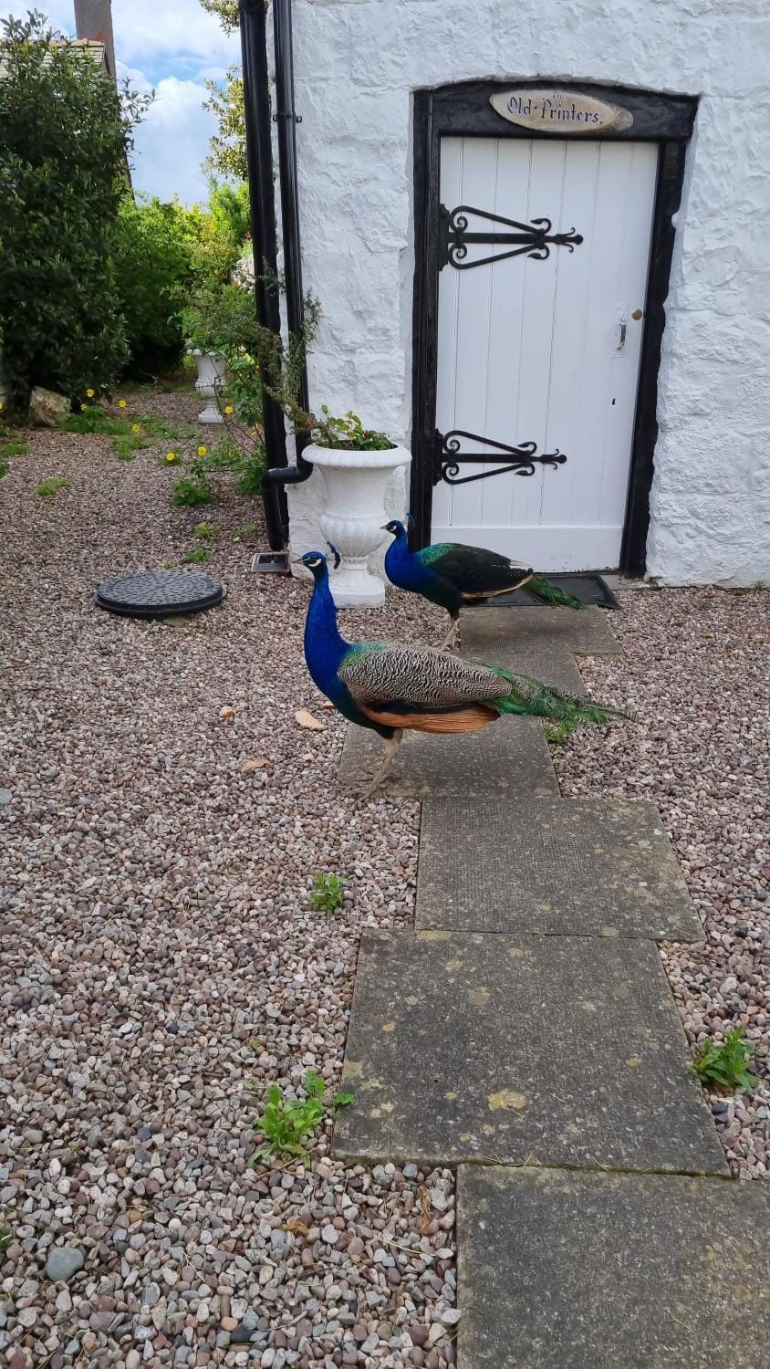 Old Printers Ruthin House in Ruthin