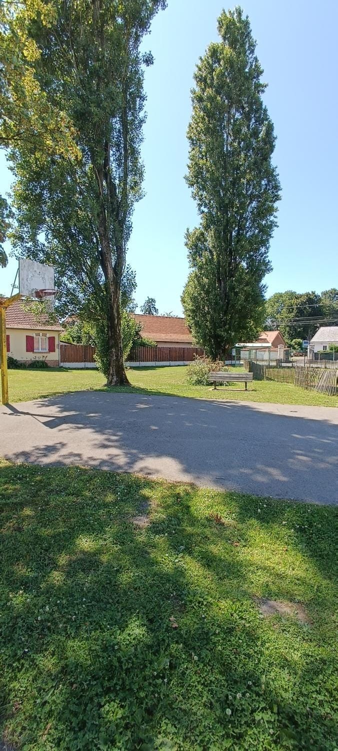 Day, Neighbourhood, Natural landscape, Hiking, Garden view, Street view, Quiet street view, Parking