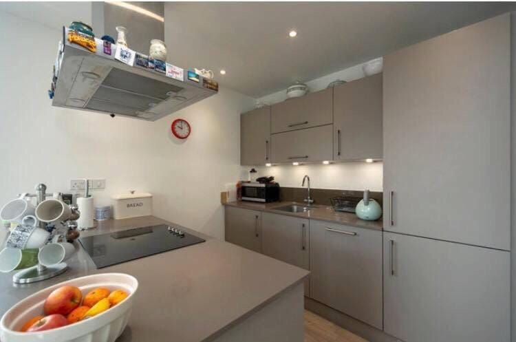 Room with private bathroom in a modern two bedroom two bathroom flat Vacation rental in London