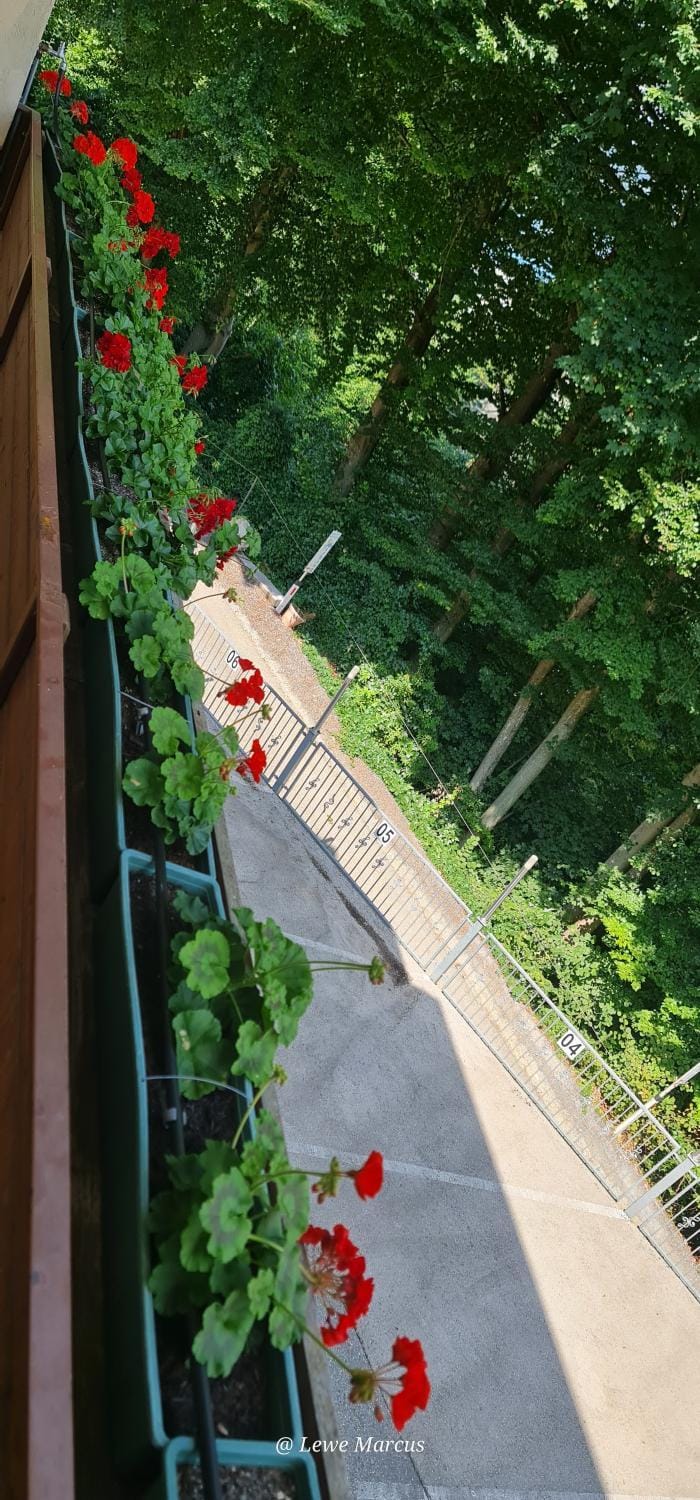 Natural landscape, Quiet street view