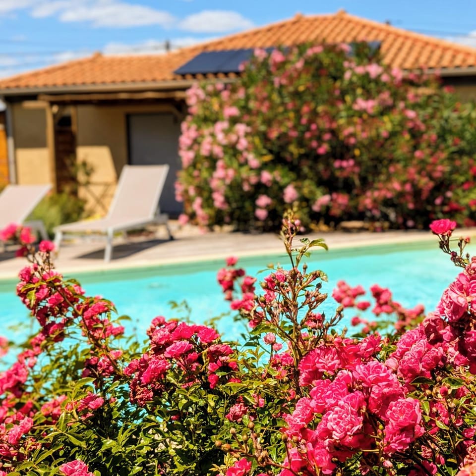 Garden, Garden view, Pool view, Swimming pool, Swimming pool