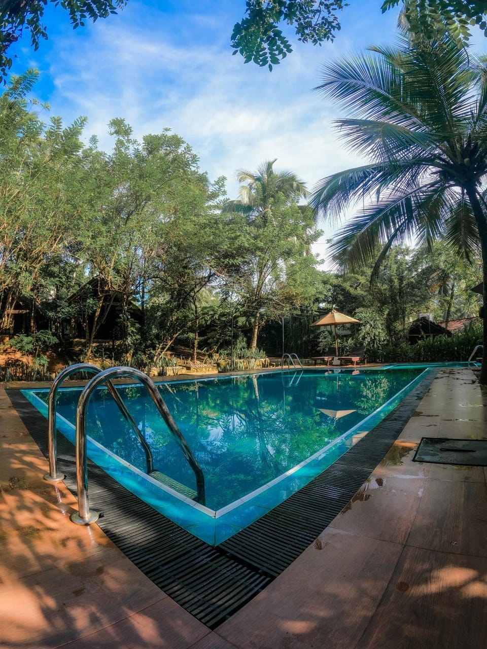 Day, Garden, Garden view, Pool view, Swimming pool, Swimming pool, sunbed