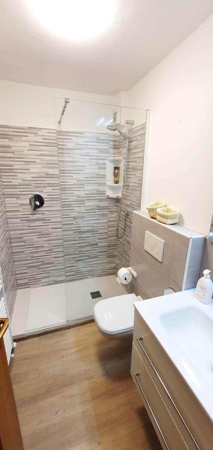 Shower, Toilet, Bathroom, towels