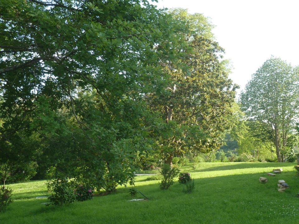 Domaine Abartiague Bed and Breakfast in French Basque Country