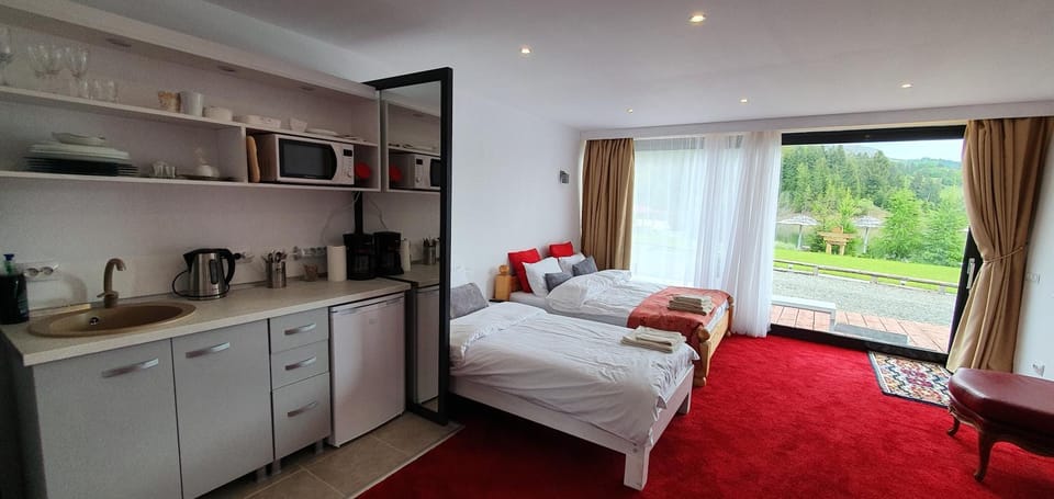 Modern rooms Colibita Apartment in Romania