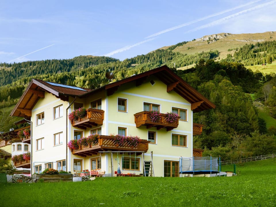 Property building, Summer