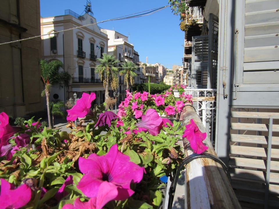 Balcony/Terrace, City view
