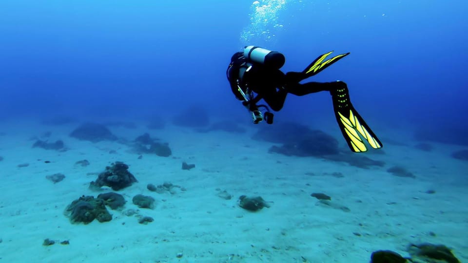 Activities, Snorkeling, Diving