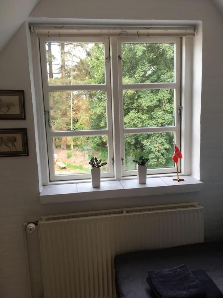 Ro i skoven - men tæt på byen Apartment in Region of Southern Denmark