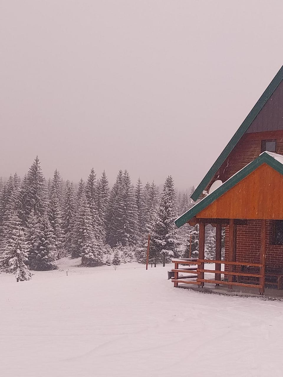 House in forest Villa in Montenegro