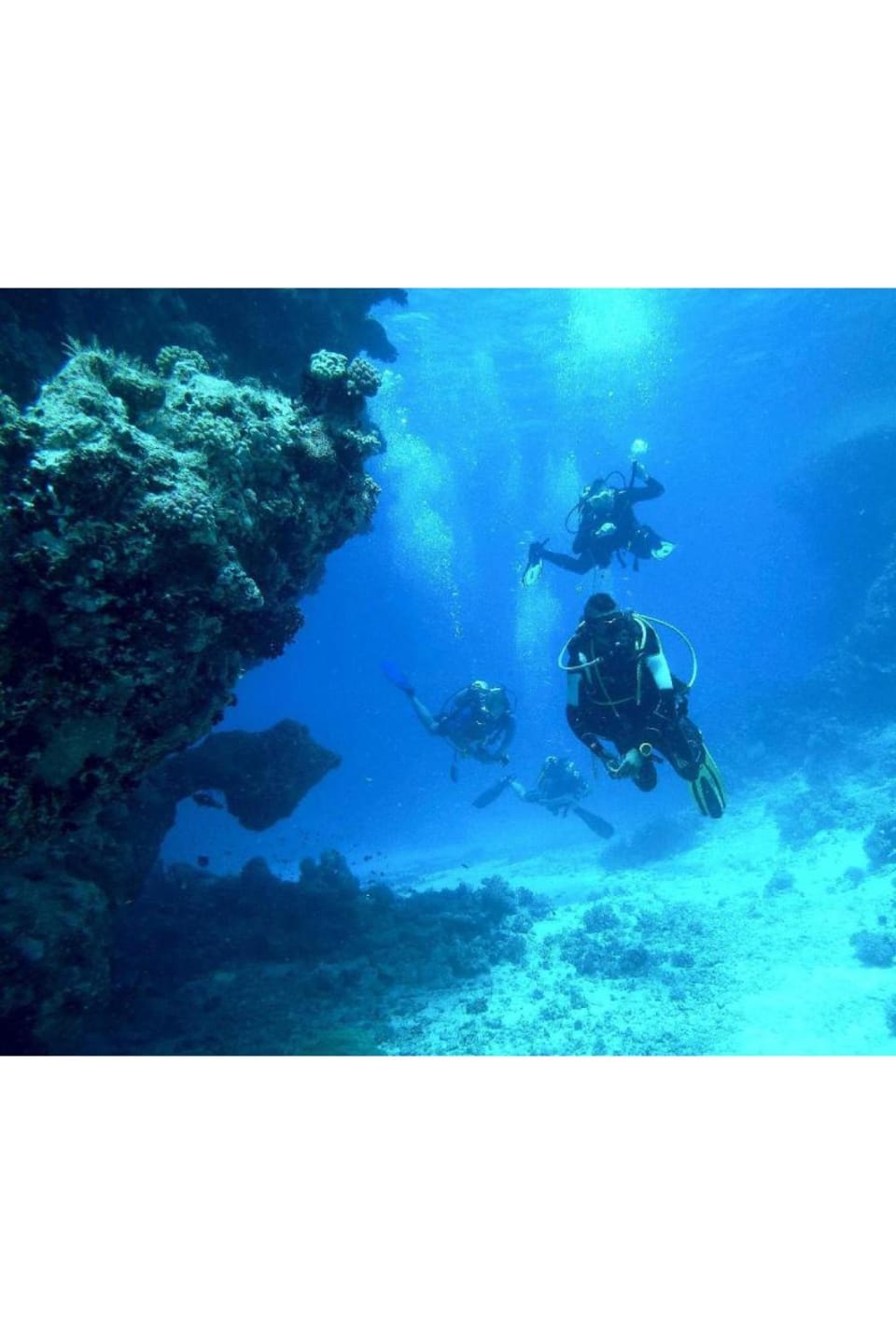 People, Activities, Diving, group of guests