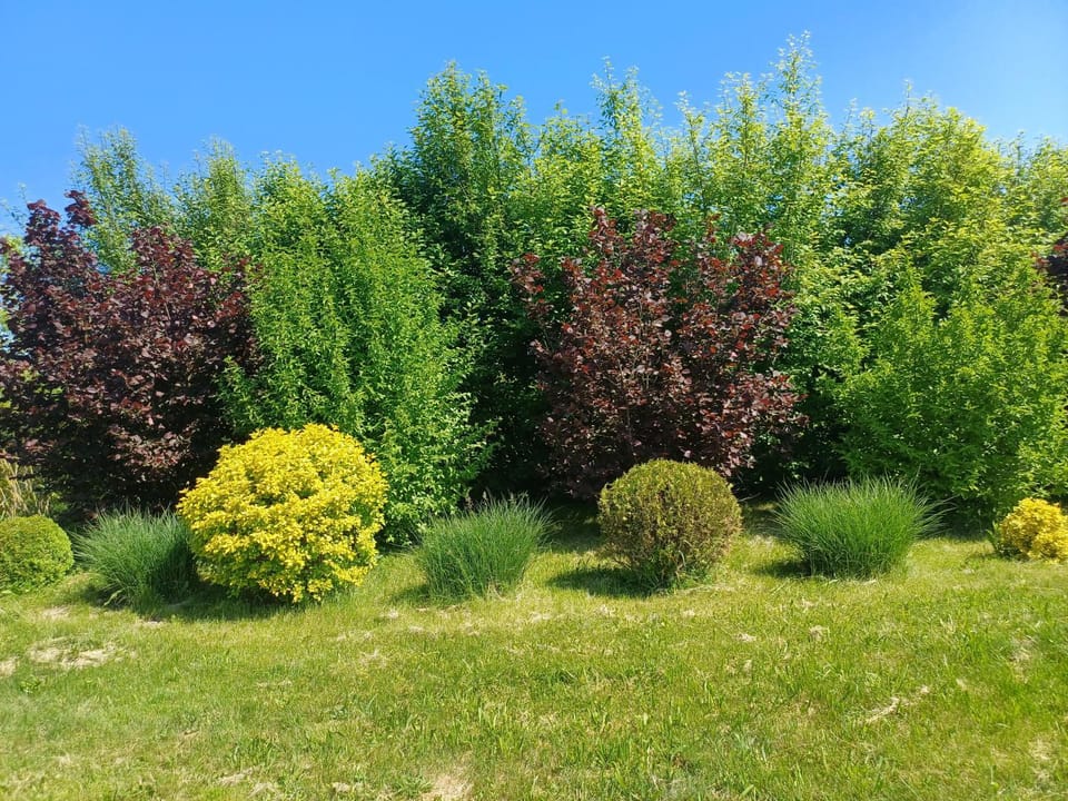 Casa de vacanta ROUA DIMINETII Bed and Breakfast in Cluj County