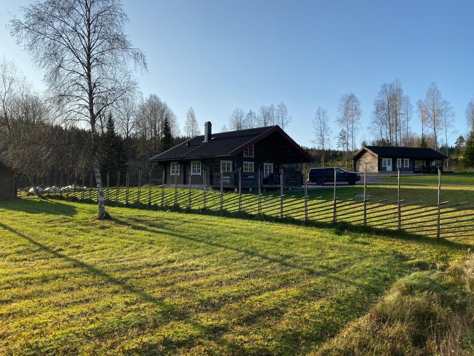 Property building, Neighbourhood, Garden