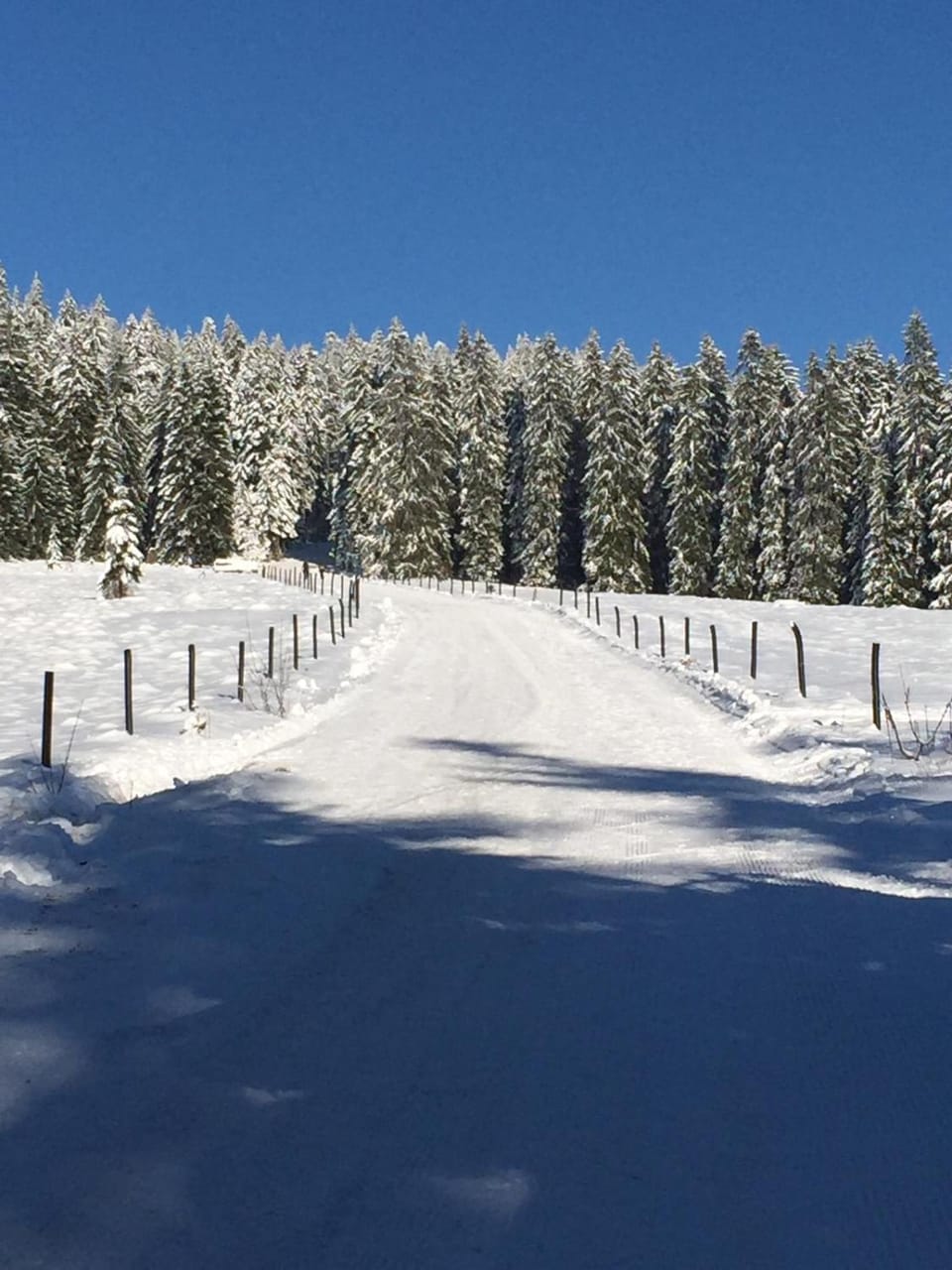 Winter, Hiking