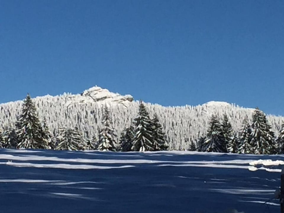 Natural landscape, Winter