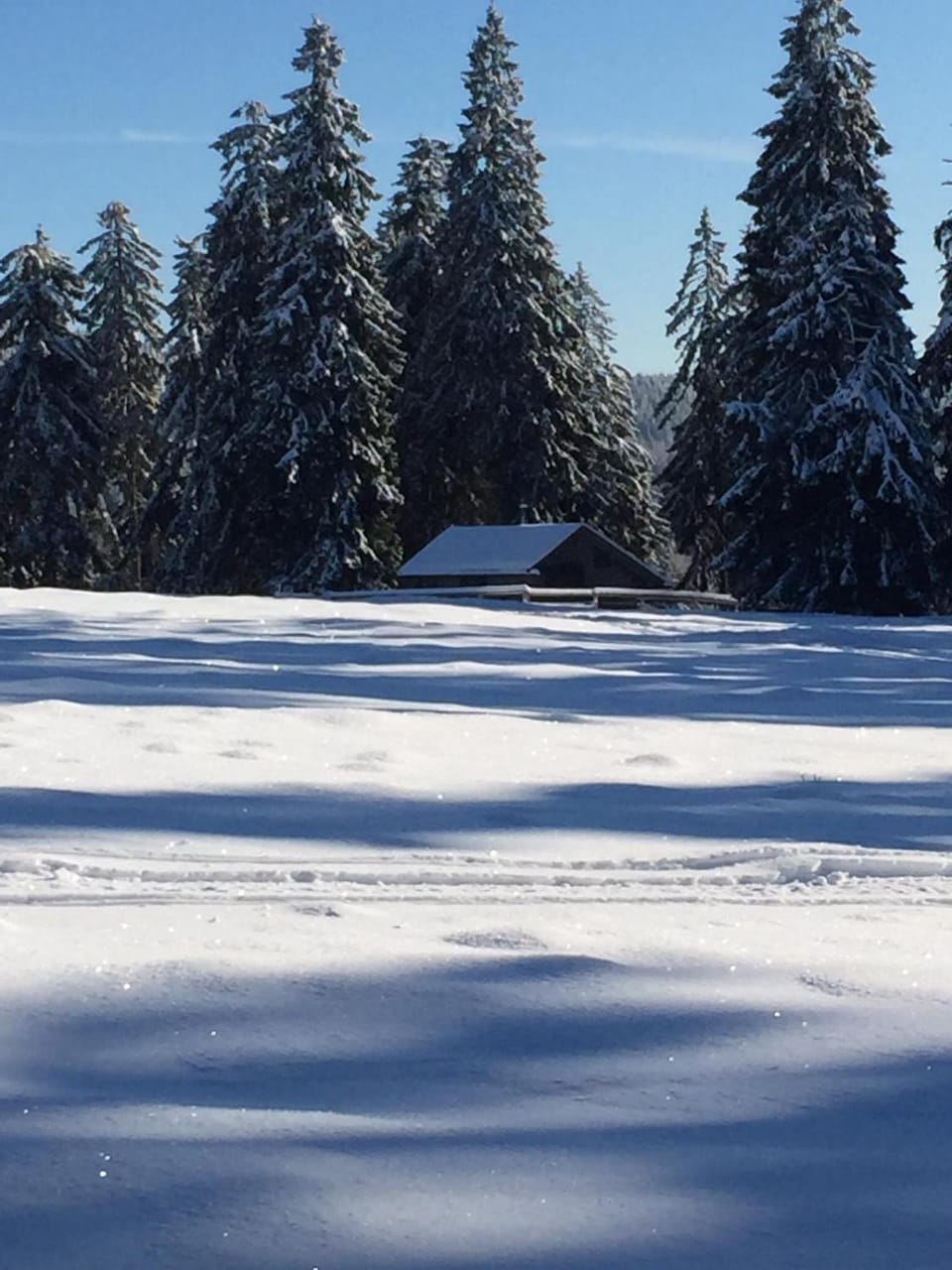 Winter, Hiking