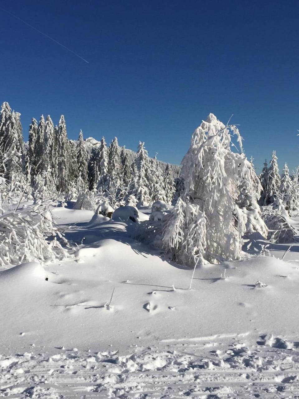 Natural landscape, Winter