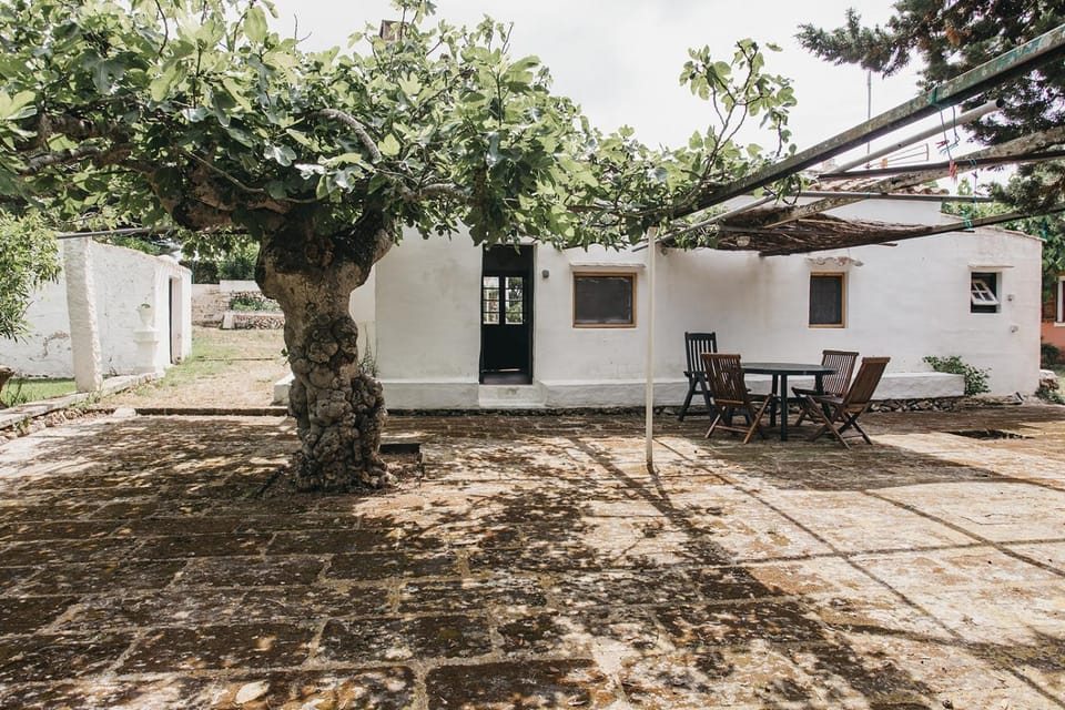 Patio, Garden, Garden view