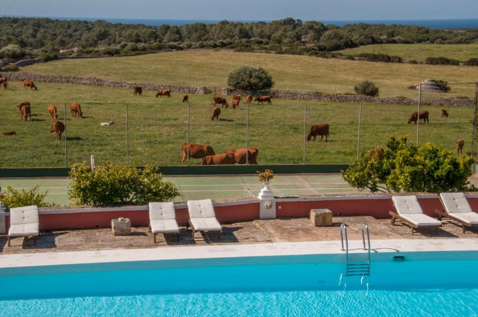 Agroturismo Son Triay Farm Stay in Balearic Islands