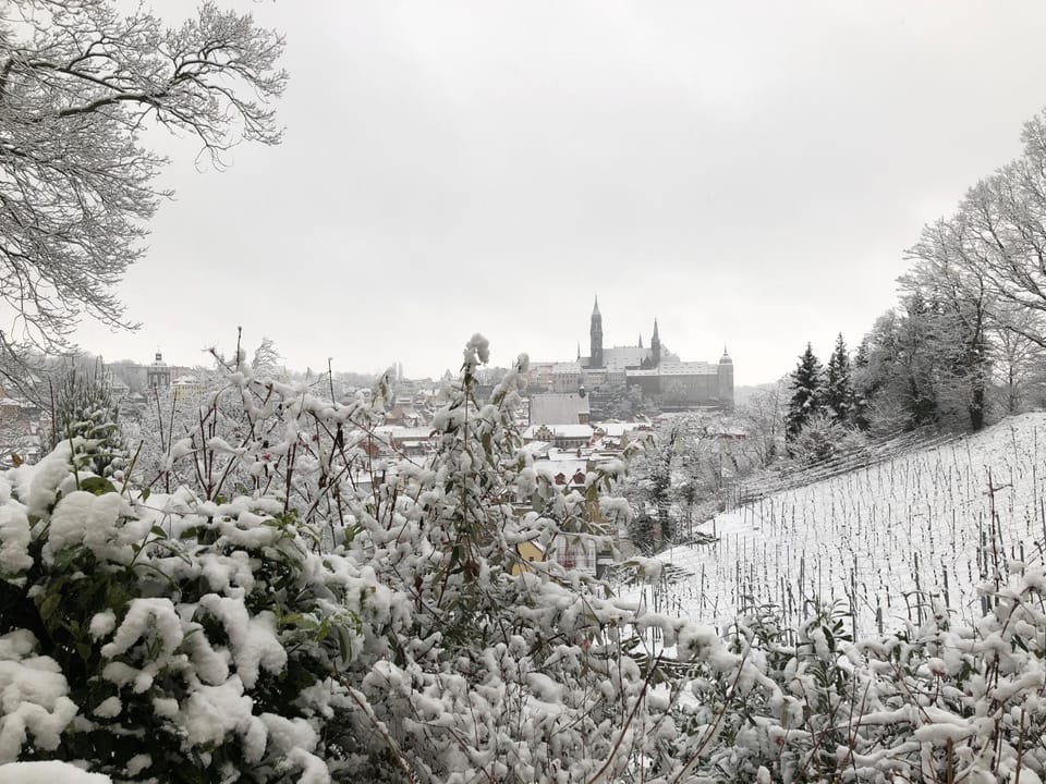 City view, Garden view