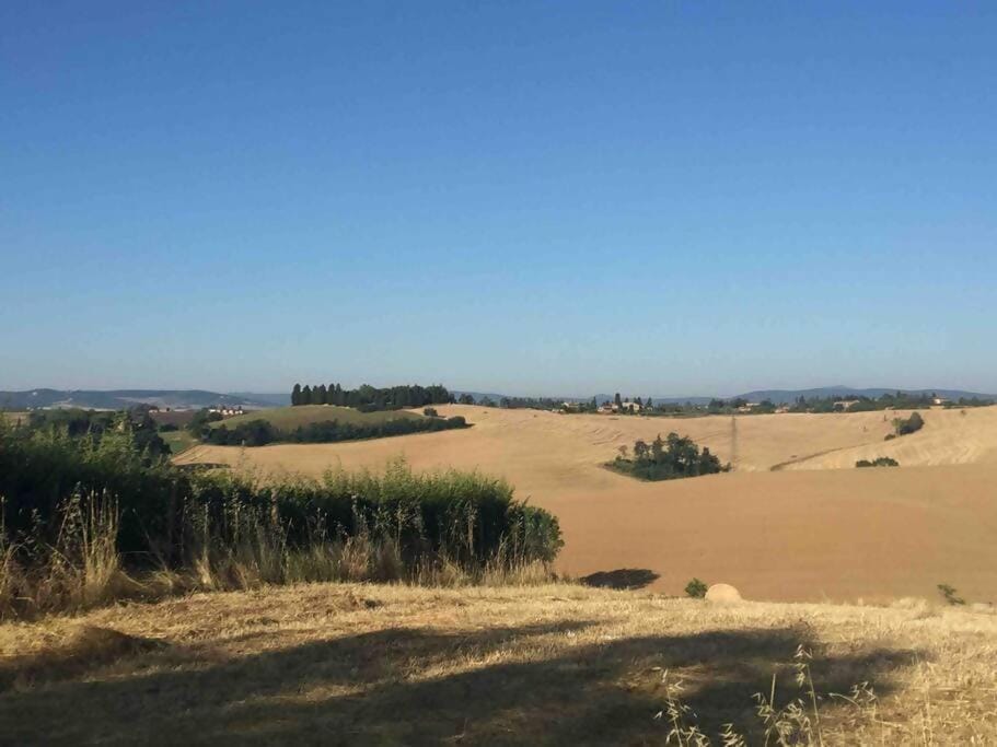 Natural landscape