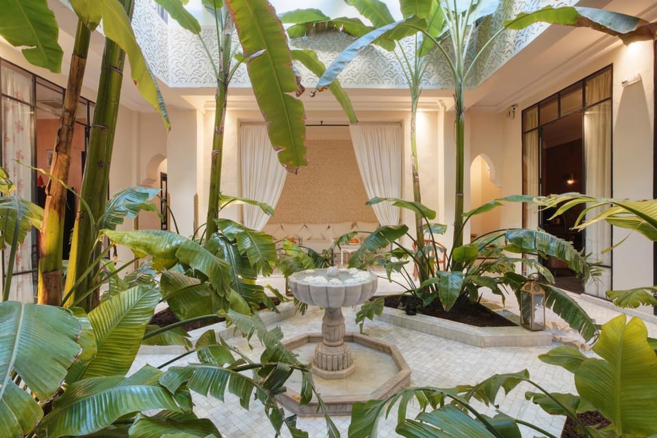 Day, Garden, Garden view