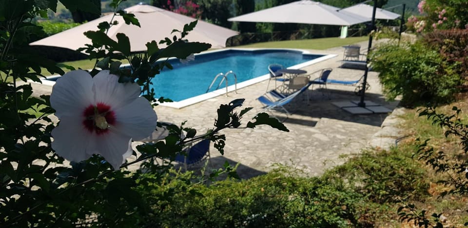 Pool view, Swimming pool