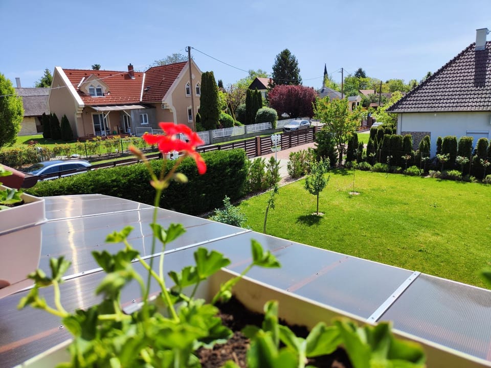 Natural landscape, Garden, Garden view