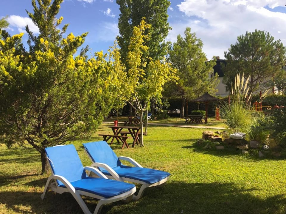 Natural landscape, Garden, sunbed