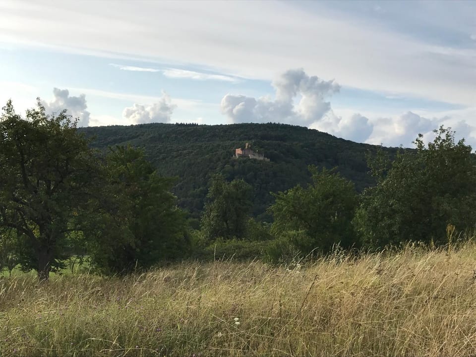 Nearby landmark, Natural landscape