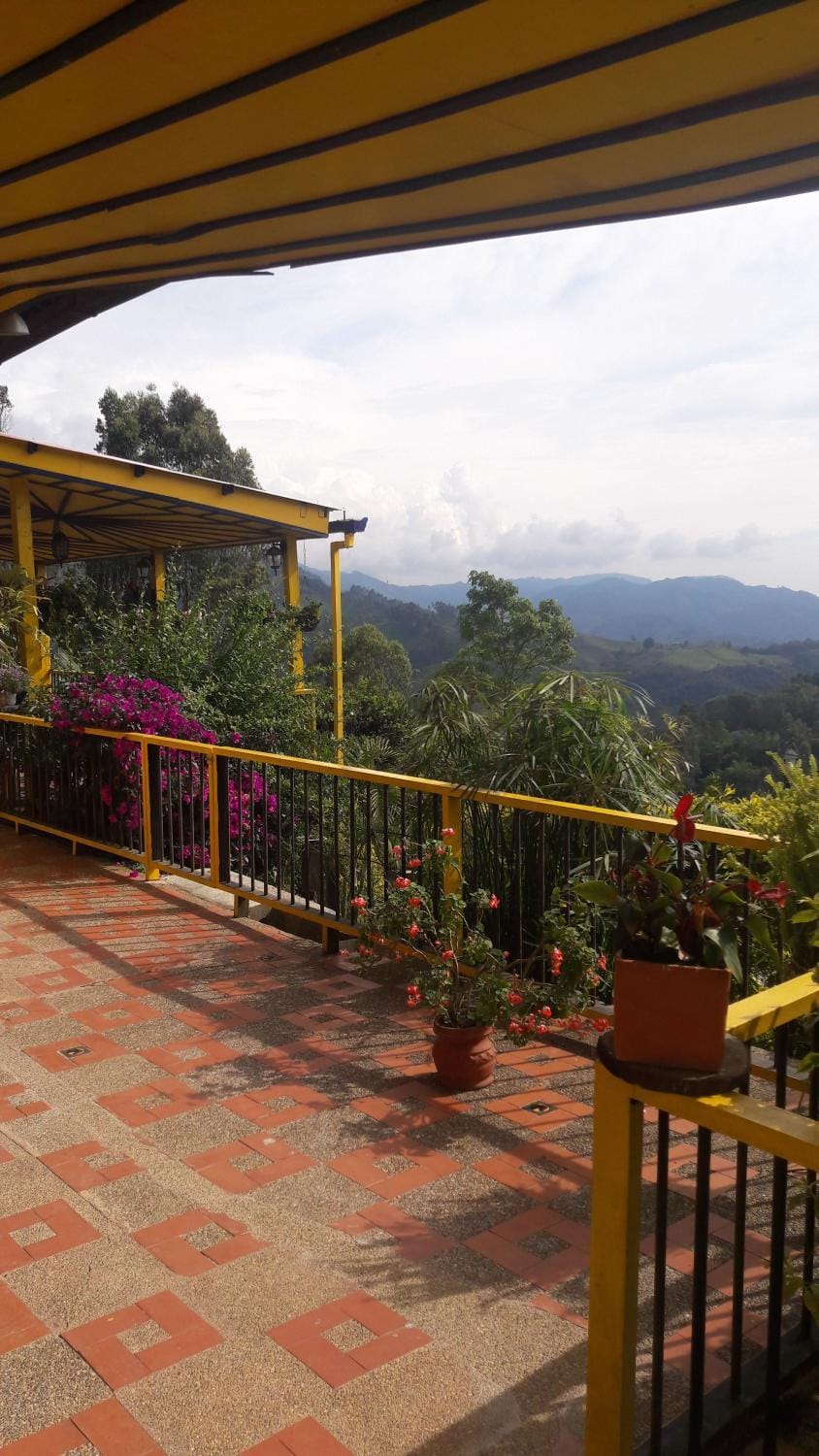 Garden view