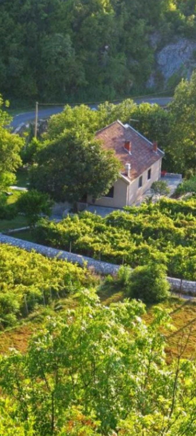 T&A Apartment Apartment in Podgorica Municipality, Montenegro