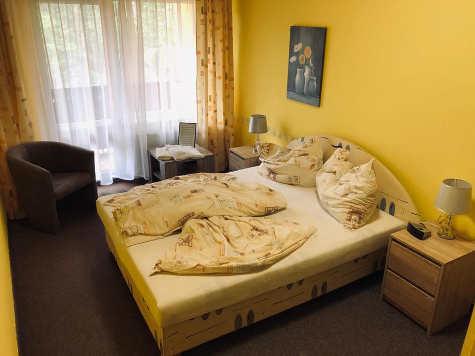 Penzion Nový mlýn Bed and Breakfast in Saxony