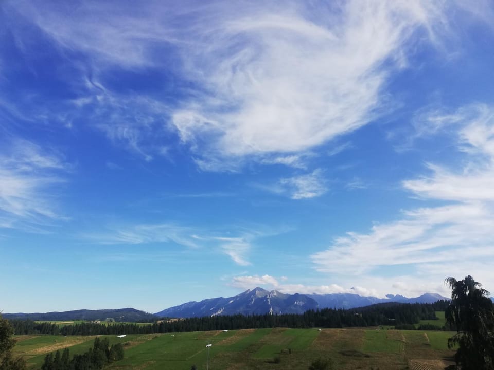 Mountain view