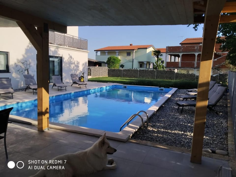 Activities, Swimming pool, Swimming pool