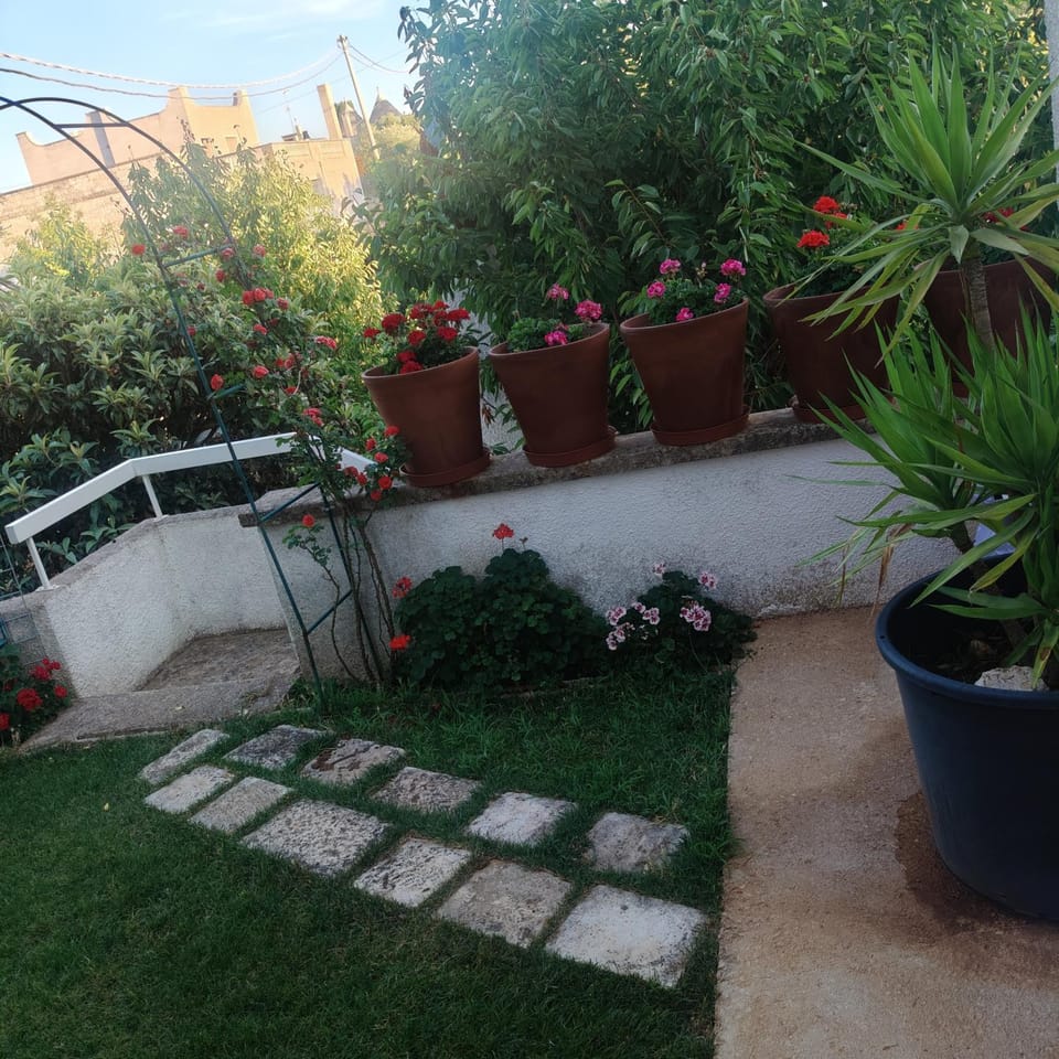 Garden view
