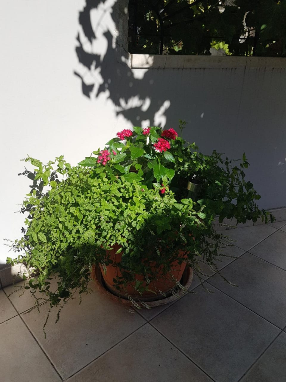 Spring, Day, Garden, Garden view