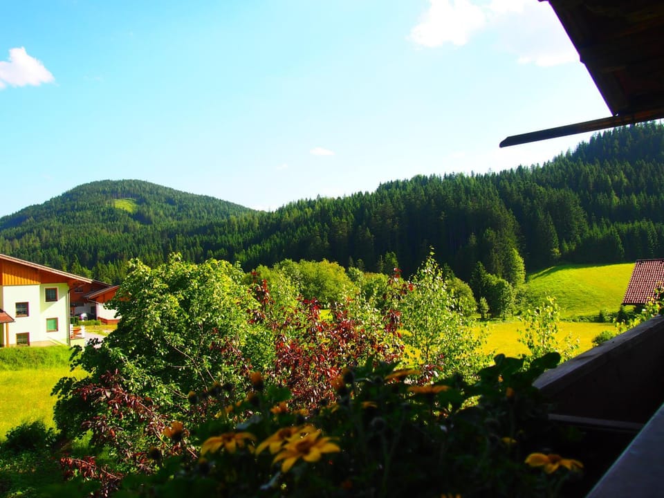View (from property/room)
