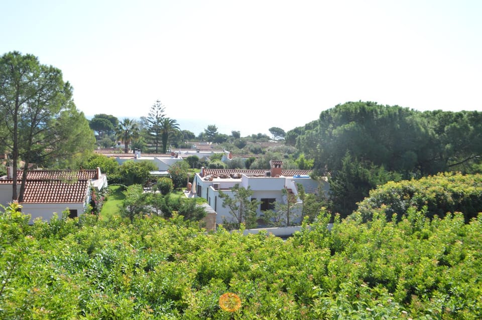 Neighbourhood