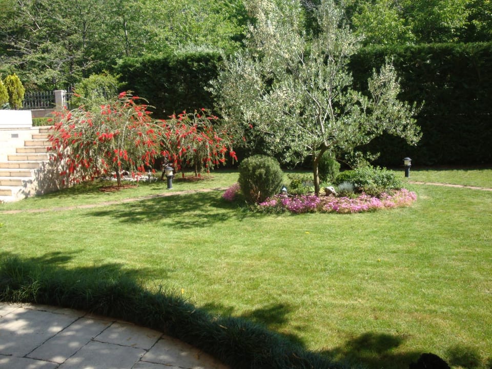 Garden, Garden view