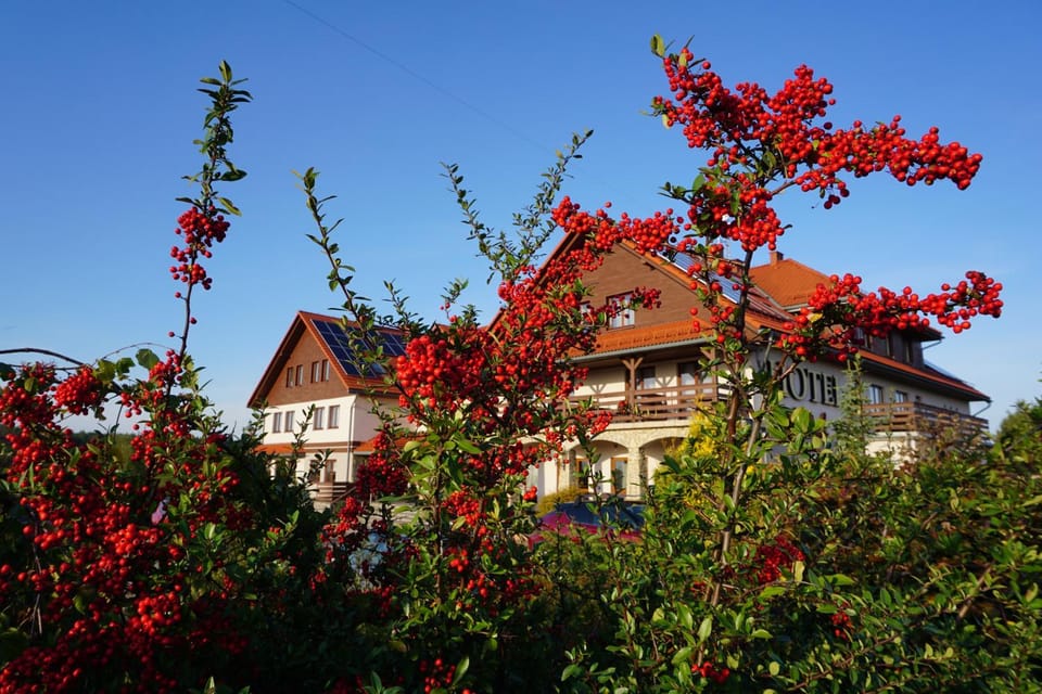 Spring, On site