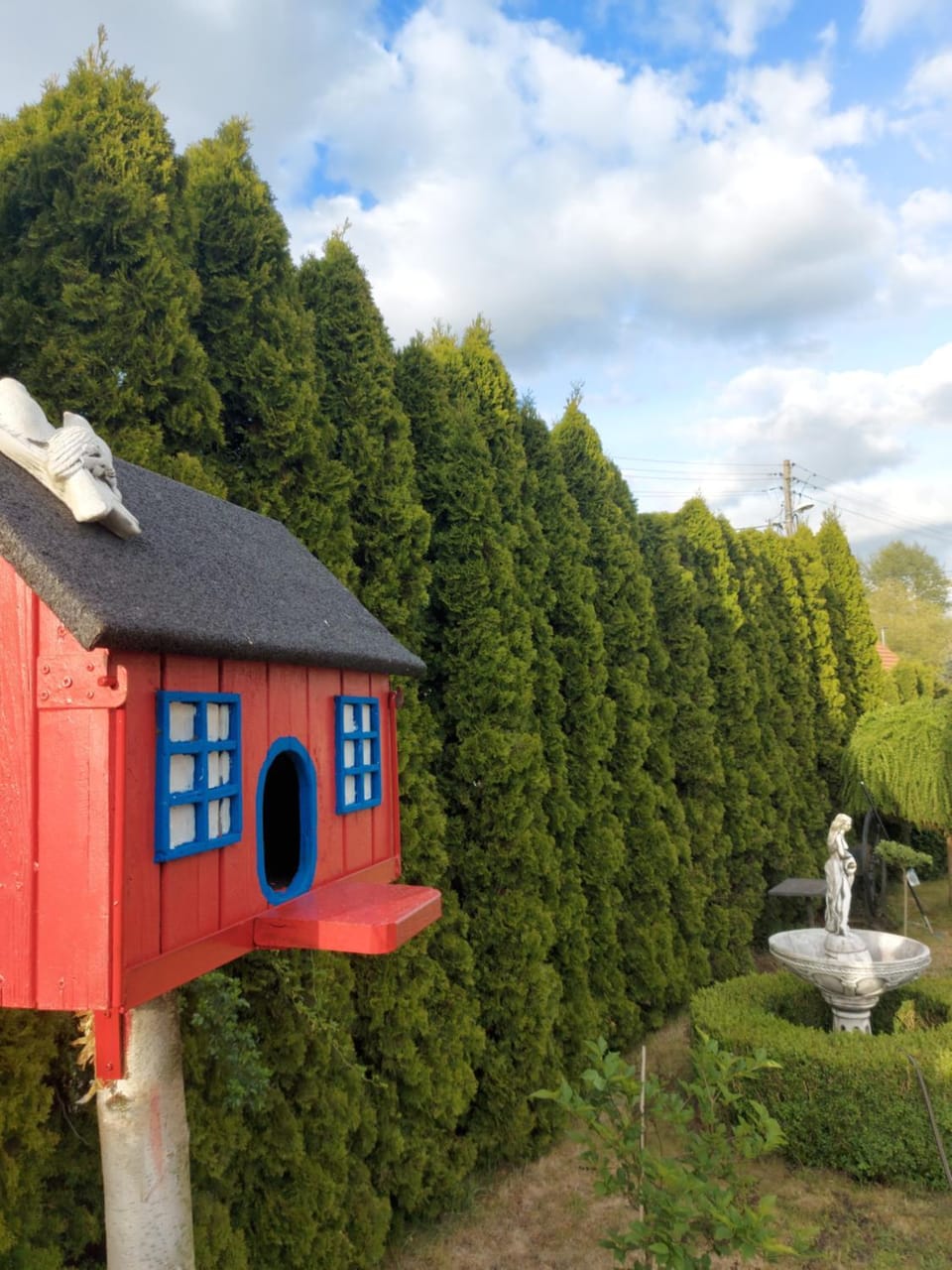 Spring, Day, Natural landscape, Garden, Garden view