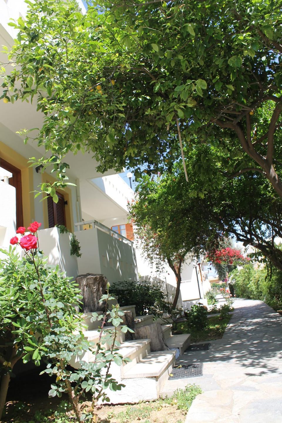 Garden view