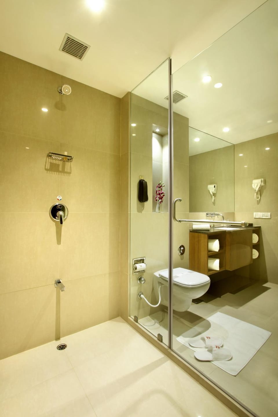 Toilet, Bathroom